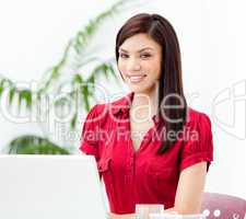 Beautiful businesswoman working at a computer