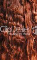 Close-up of red curly hair
