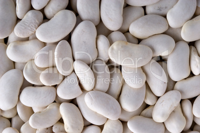 white haricot beans