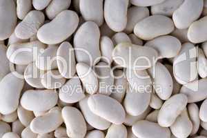 white haricot beans