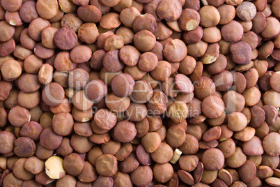 lentils