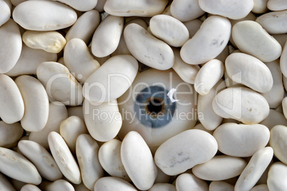 human eye in beans