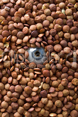 eye and lentil