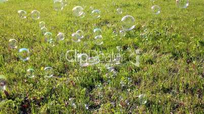 soap bubbles flying
