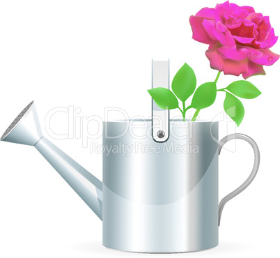 Realistic watering can with rose illustration