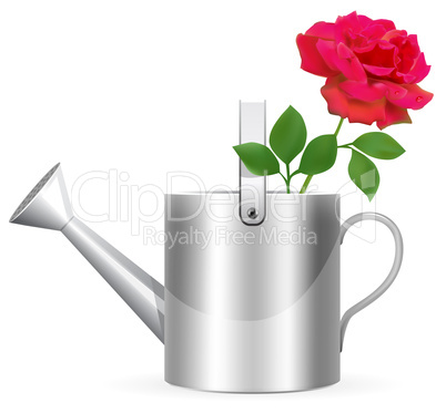 Realistic watering can