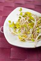 Salatsprossen auf einem weißen Teller