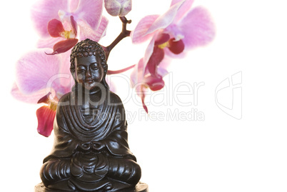 Buddha und Orchidee