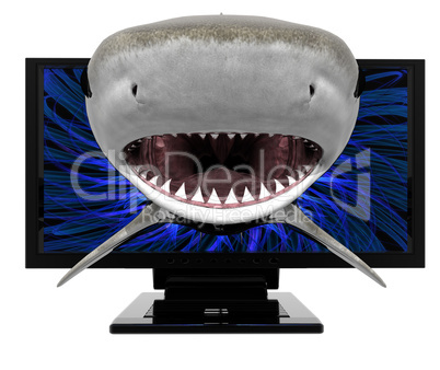 Hai schwimmt aus Monitor