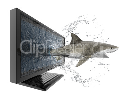 Hai schwimmt aus Monitor