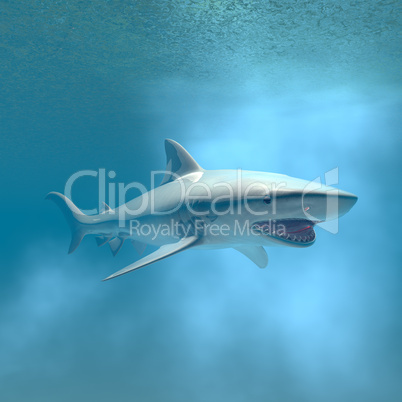 Tigerhai unter Wasser