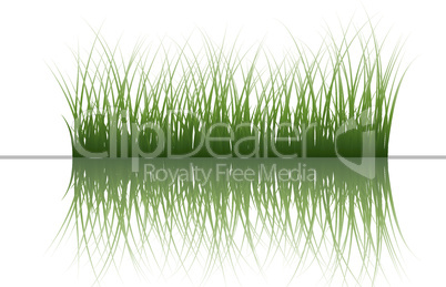 grass on water