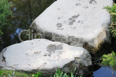 japan garden