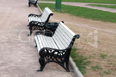 bench  in park