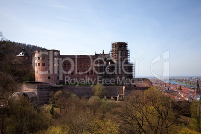 Palace Ruins at Heidelberg