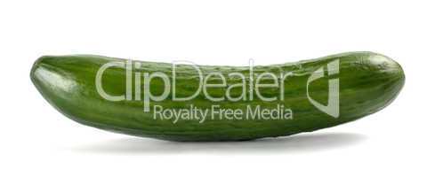 Single cucumber