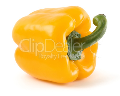 Single yellow bell pepper