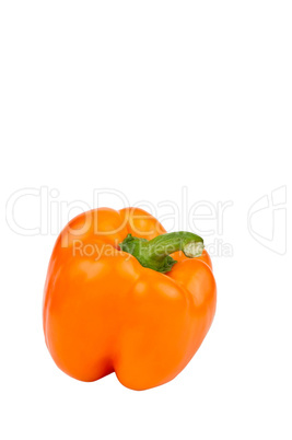 Orange Bell Pepper