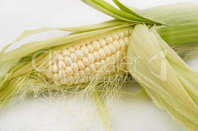 Ear of corn partially shucked