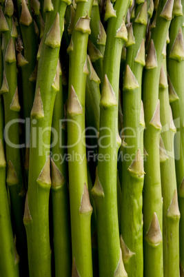 close-up of asparagus