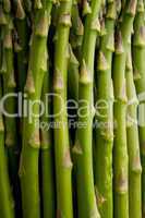 close-up of asparagus