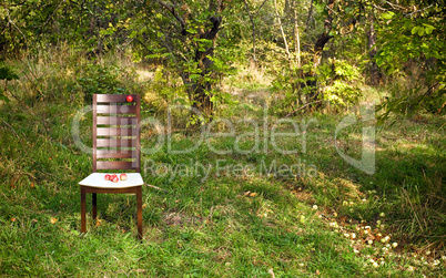 Fruits on the chair