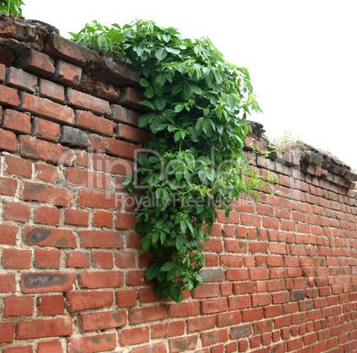 Stone wall of the old brick