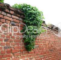 Stone wall of the old brick