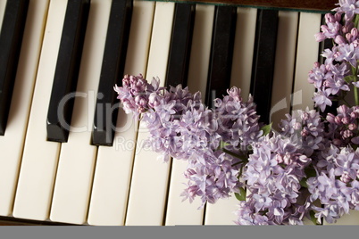 Love of Music - purple lilac