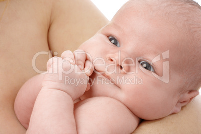 Cute newborn in mother's hands