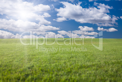 Green Grass Field, Blue Sky and Sun