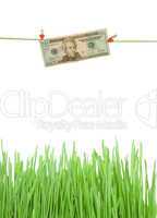 Dollars on a clothespin the grass green