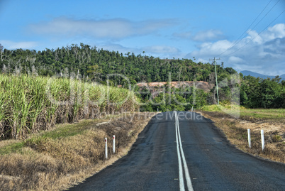 Australian Countryside