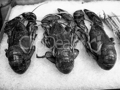 Prawns in a Bergen Market, Norway