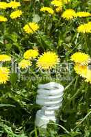 Energy saving bulb in grass