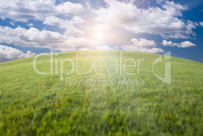 Green Grass Field, Blue Sky and Sun