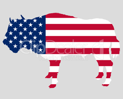 USA Fahne mit Bison