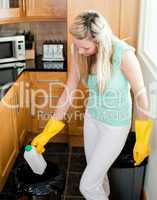 Confident housewife cleaning