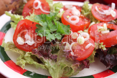 gemischter salat (A.Bogdanski)