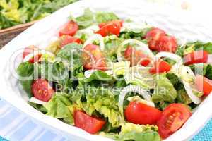 gemsichter salat (A.Bogdanski)
