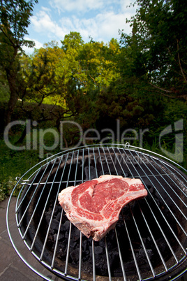 T-Bone-Steak auf dem Grill im Freien