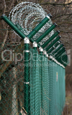 green wire fence around trees
