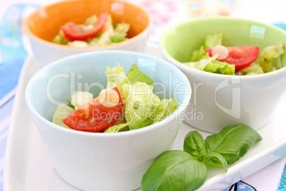 salat (Y.Bogdanski)