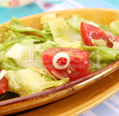 gemsichter salat (Y.Bogdanski)