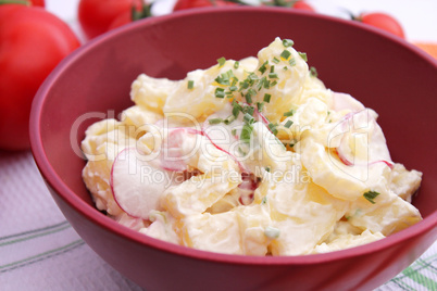 Kartoffelsalat (Y.Bogdanski)