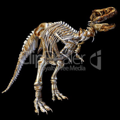 Skelett T-Rex
