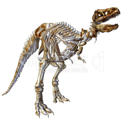 Skelett T-Rex