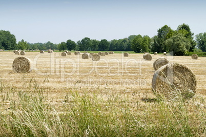 Hay balls on field