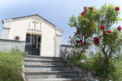 Small Church and rose bush