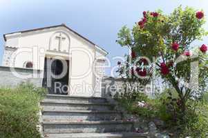 Small Church and rose bush